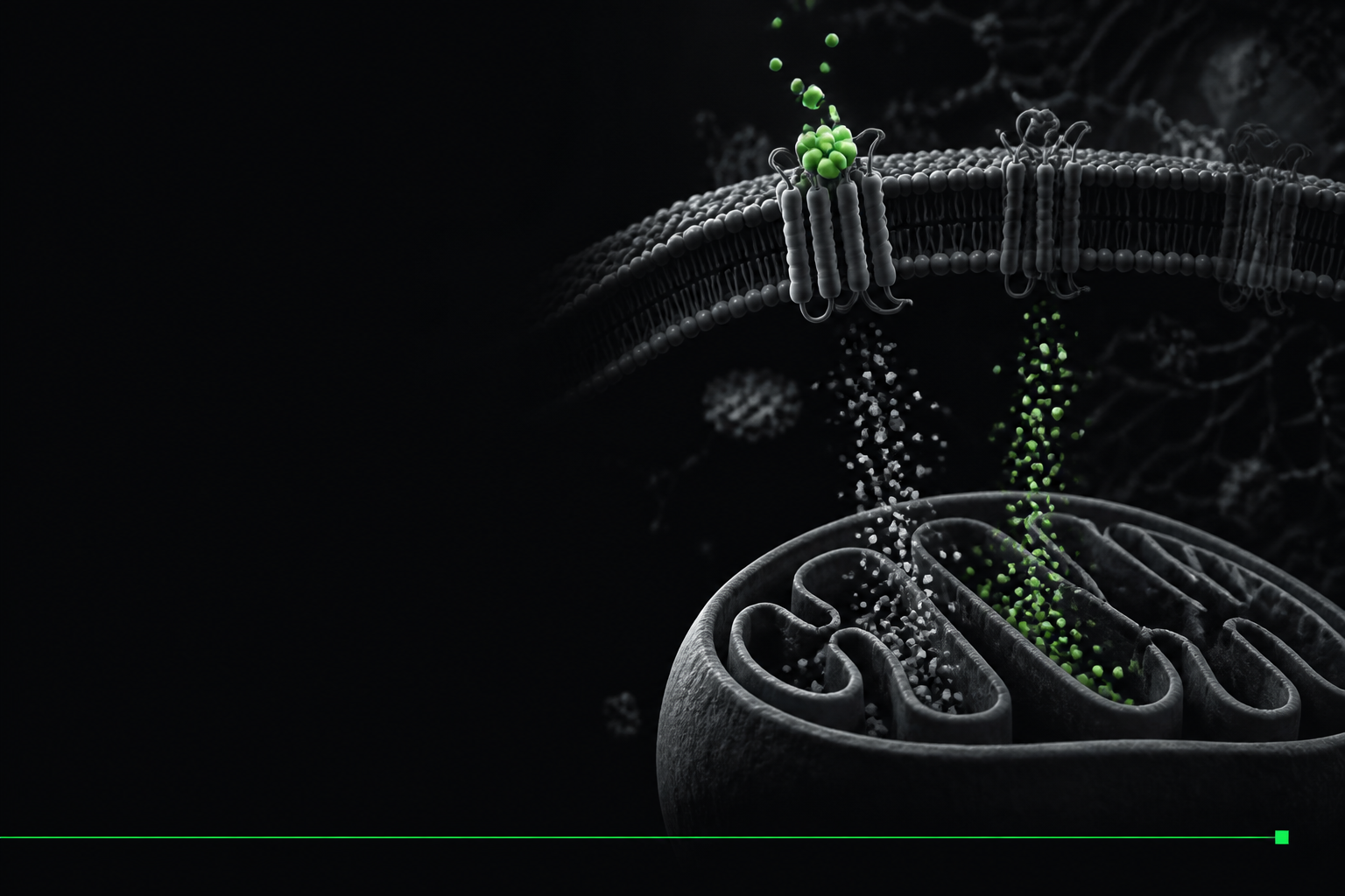 Editorial cover image for GLP-1 Receptor Agonists and Metabolic Flexibility: Beyond Weight Loss